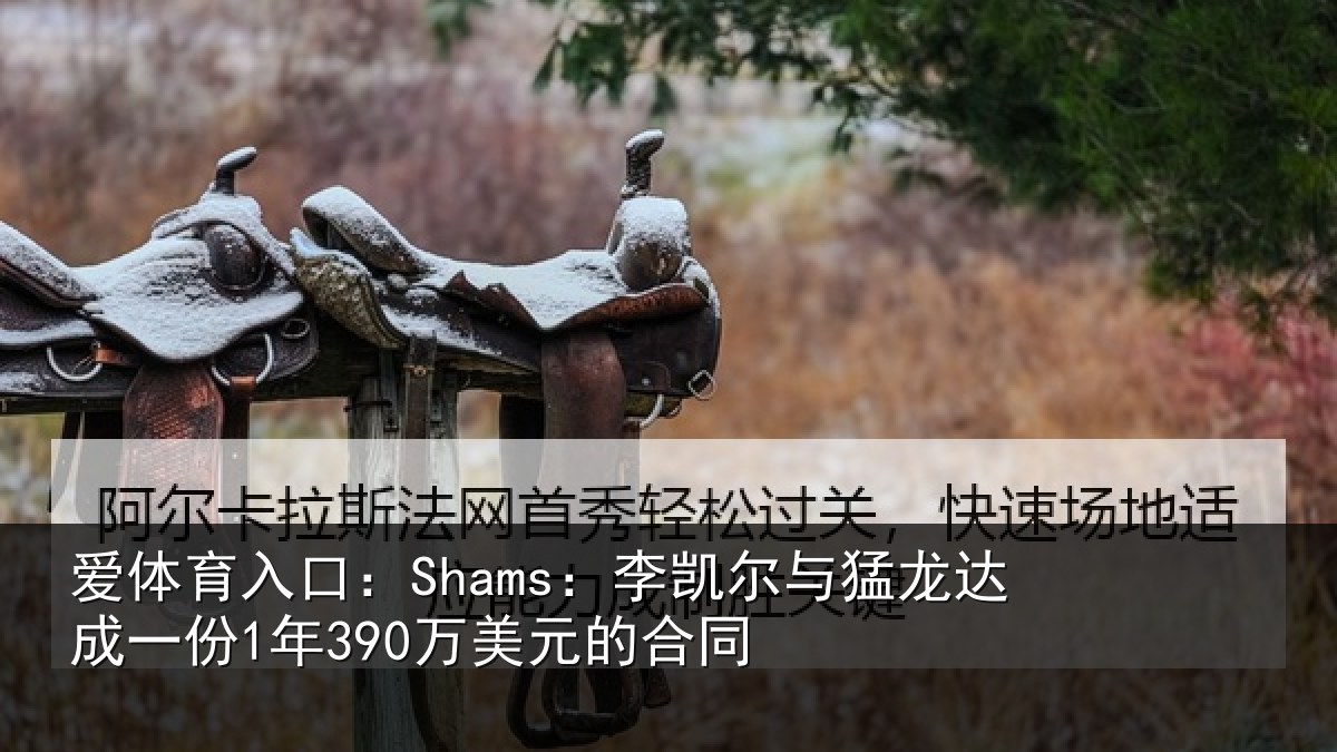 爱体育入口：Shams：李凯尔与猛龙达成相关情况同