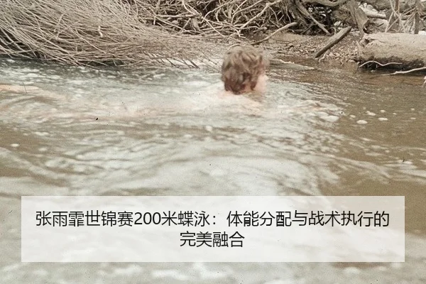 张雨霏世锦赛200米蝶泳：体能分配与战术执行的完美融合