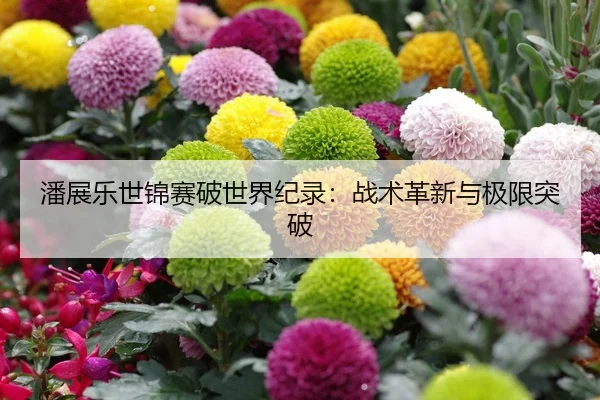 潘展乐世锦赛破世界纪录：战术革新与极限突破